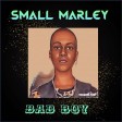Small Marley-Bad boy