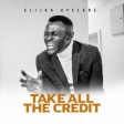 Elijah Oyelade - Take All The Credit MP3 Download