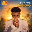 Pejar king-Awolowo