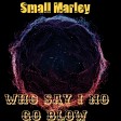 Small Marley - Who say I no go blow
