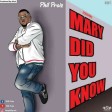 Phil Praiz - Mary Did You Know (Pentatonix Cover)