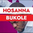 Download Hosanna Bukole Mp3 by Daniel Lubams