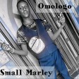 Small Marley _ Omologo