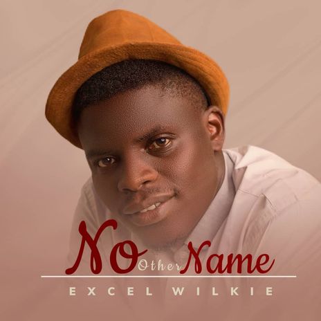 Excel Wilkiepay -No Other Name